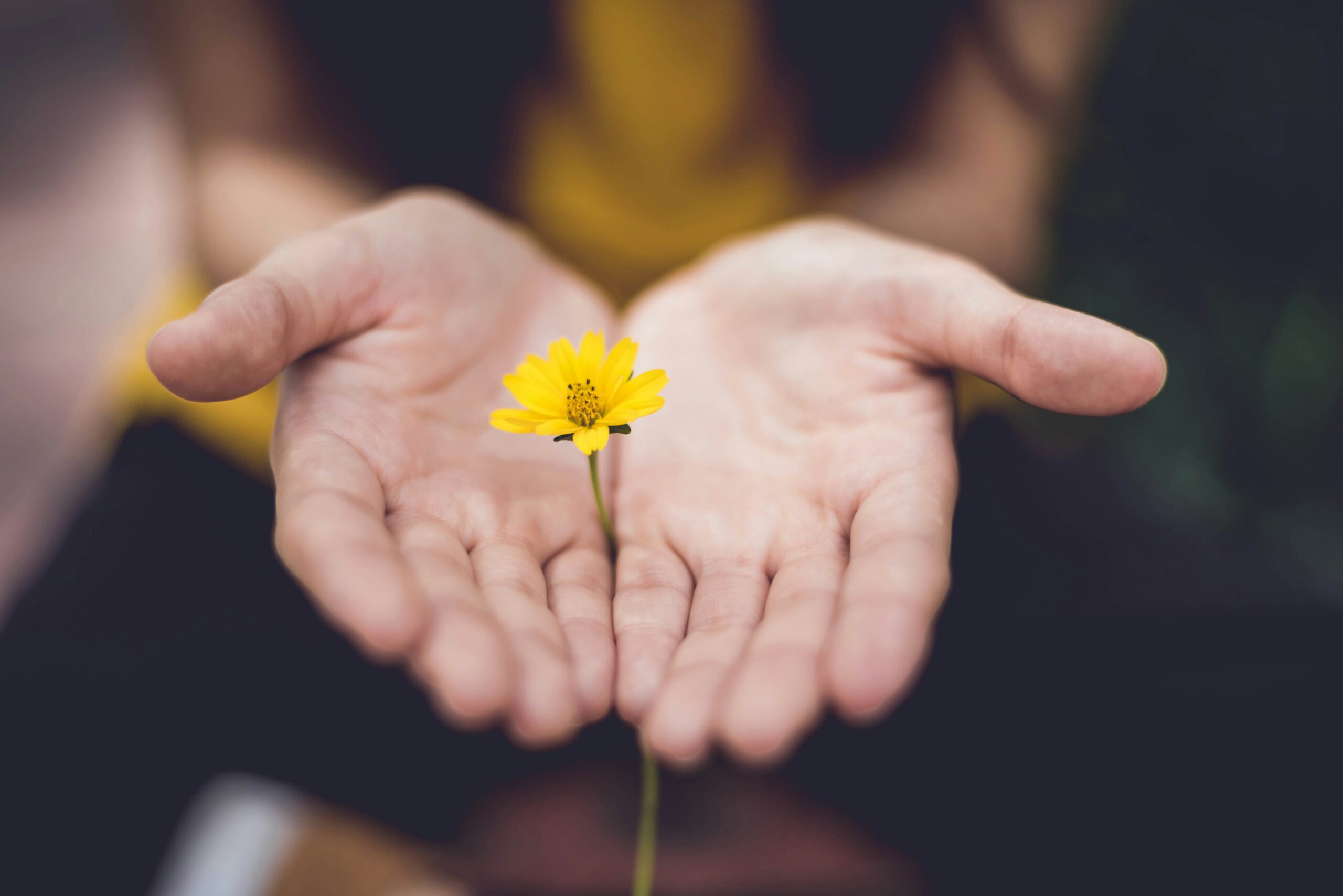 Parent caring for child with special needs, finding balance and guidance through counseling in Austin